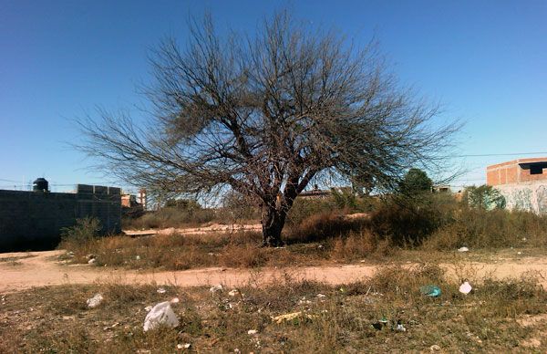 Más de medio año sin agua potable, colonias de San Luis Potosí