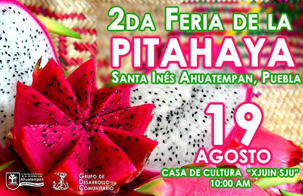 Realizarán Feria de la Pitahaya 2017 en Ahuatempan  