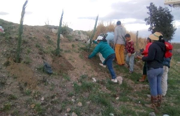 Reforesta Antorcha colonia Clara Córdova