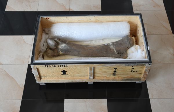 Concluye exposición La presencia del Hombre Prehistórico en Chimalhuacán