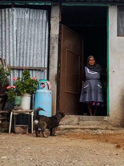 La lucha por la alimentación se pone a la orden del día