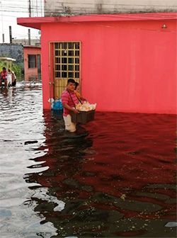 La intolerancia de la 4T frente a la desgracia del pueblo de Tabasco 