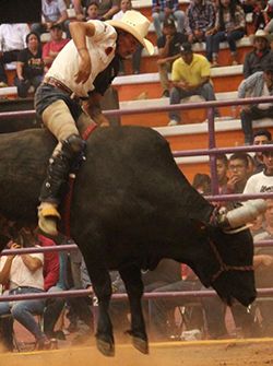 La feria (virtual) de Tecomatlán 2021