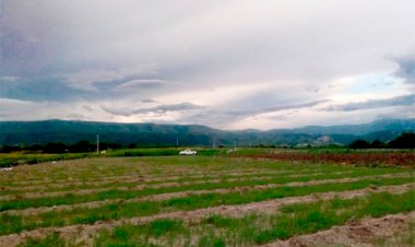 Urge un plan para rescatar el campo