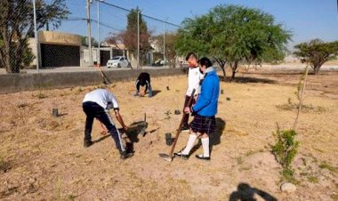 Reforestan estudiantes telebachillerato de Aguascalientes