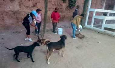 Rehabilitan área verde en Amozoc