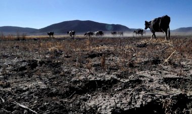 La sequía dejará más pobreza en Coahuila