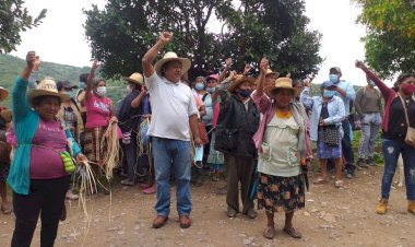 REPORTAJE | Sin fertilizante, campesinos de Chilapa van al fracaso