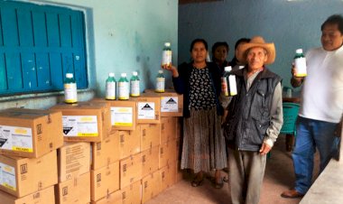 Agradecen campesinos de Chilapa herbicidas gestionados por Antorcha