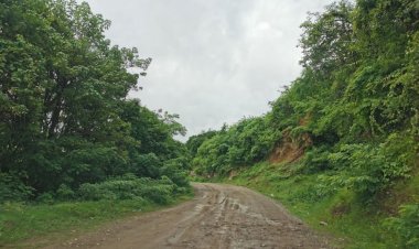 Nos educaron para luchar, dicen en Tulcingo