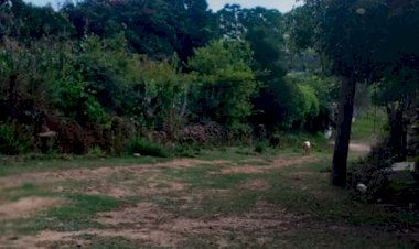 Cardenenses exigen rehabilitación de vialidades en la colonia Agrícola