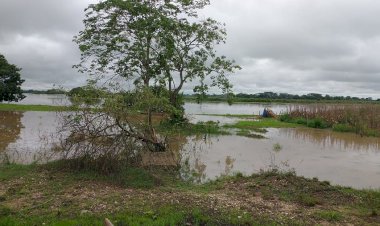 En la zona sur aún no llegan apoyos y tampoco los censos