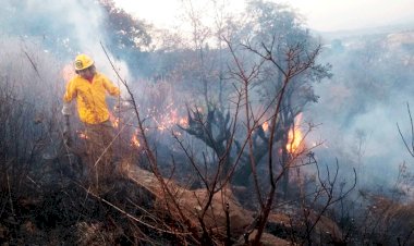 La 4T incendia a México, literalmente