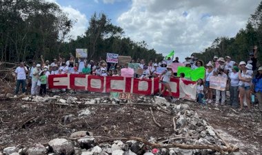 Tren Maya: ecocidio y falso desarrollo
