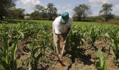 Campo yucateco clama apoyo del Gobierno estatal