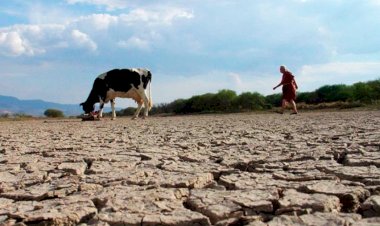 Vivir sin agua en SLP por falta de voluntad política