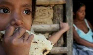 Desnutrición infantil, una aportación de la 4T