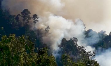 El pueblo combate los incendios