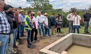Suman esfuerzos organizaciones sociales y autoridades para salvar el Lago de Pátzcuaro