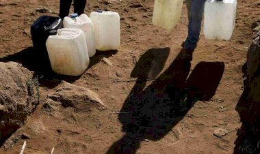 Entre sequía y abandono el campo mexicano peligra