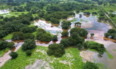 Comunidades indígenas de Tabasco y Chiapas contaminadas por derrame de petróleo