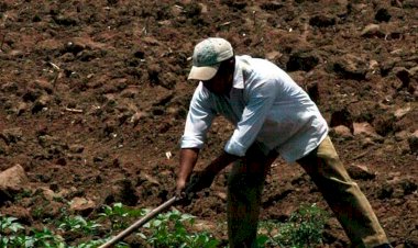 Campesinos sufren deficiencias de los programas sociales de la Federación