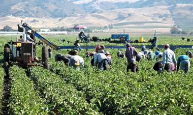 San Quintín, Baja California vive en el esclavismo