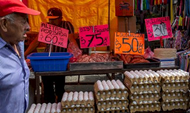 Familias se debaten entre comer pollo o huevo; ambos rondan los 100 pesos