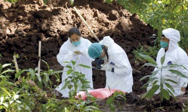 REPORTAJE | Violencia feminicida en San Luis Potosí