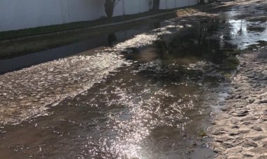 Contaminación por aguas negras en Jurica, y nadie hace nada