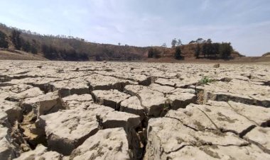 REPORTAJE | La sequía afecta a Guanajuato