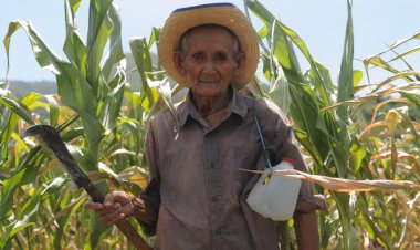 Campesinos, a la deriva