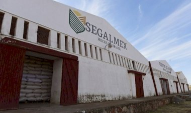Morena afecta al pueblo con fraude en Segalmex