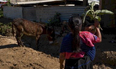 La brecha de género en la pobreza: el caso de México