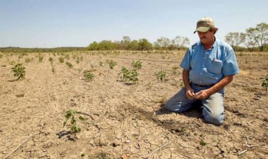 Antorchistas demandan apoyo de fertilizante