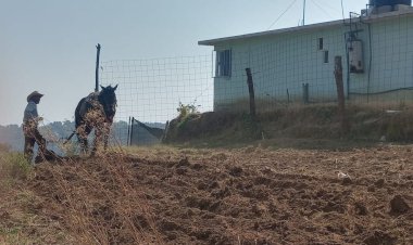 En Chapa de Mota, Estado de México el campo muere