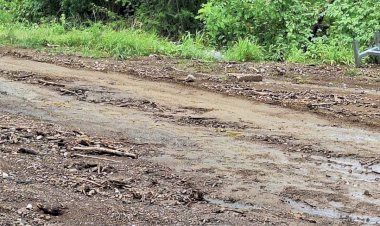 Antorcha gestionó y logró que se realicen trabajos de mantenimiento en la carretera de la comunidad de Piscila, Colima