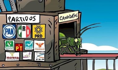 Un chapulín es un insecto