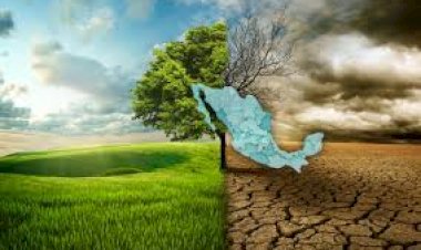 COP 28: México rezagado en medidas contra el cambio climático