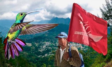 La tierra de colibríes y la bandera roja