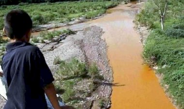 El medio ambiente, víctima del rapaz capitalismo