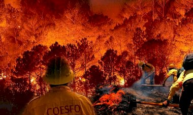Austeridad, combustible para los incendios forestales