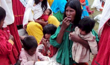 Crisis alimentaria afecta a niños de la Sierra Tarahumara