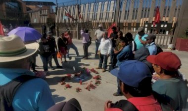 REPORTAJE | Sin servicios básicos sobreviven pobladores de Nuevo Balsamar
