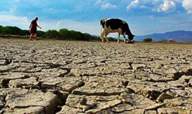 México y el problema hídrico