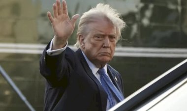 Aranceles de Trump: ¿tiro en el pie o estrategia maestra?