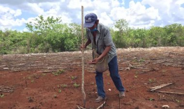 Rezago en el campo yucateco