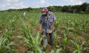Se profundiza pobreza y marginación en el campo mexicano