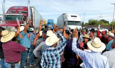 REPORTAJE | Productores alzan la voz frente al abandono de Morena