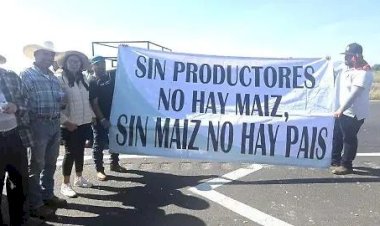 La crisis en el mercado de maíz
